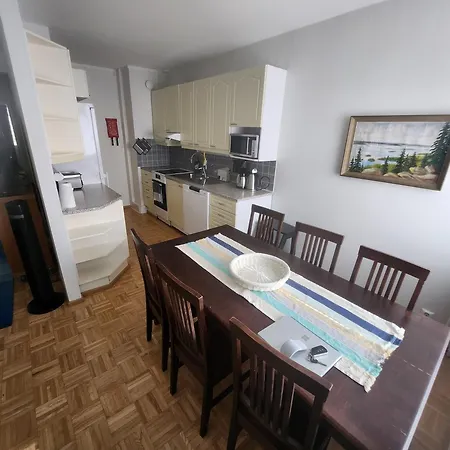 Kodikas Huoneisto, Siivouspalvelulla Apartamento *